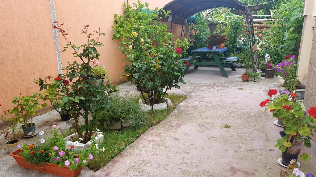 Casa Marvik Daire Oradea Dış mekan fotoğraf